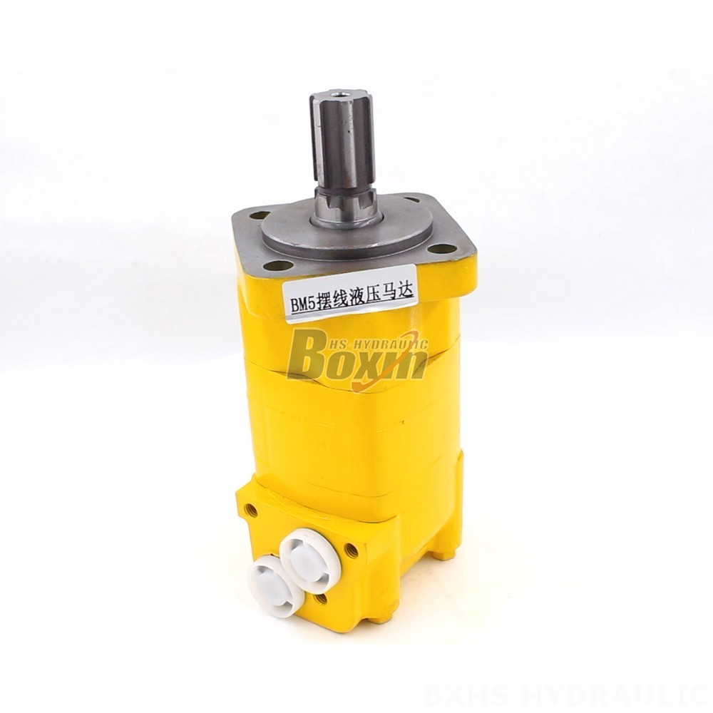 BM5 Cycloid Hydraulic Motor: OEM/ODM Services Available cover photo